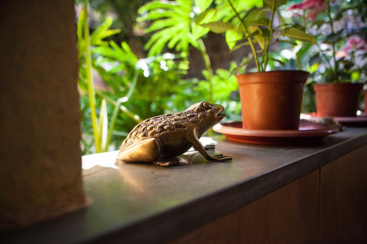Serendipity House Goa Nerul  Pokoj fotografie